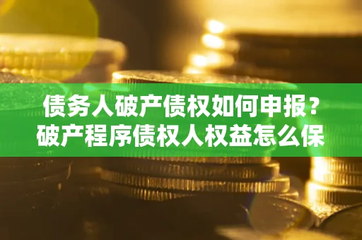 北京债务人破产债权如何申报？破产程序债权人权益怎么保障？