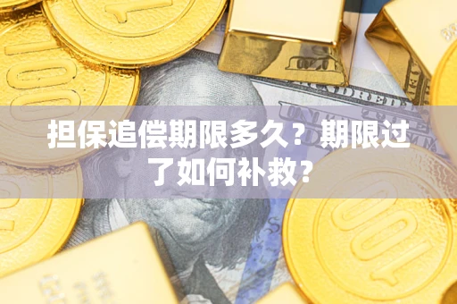 北京担保追偿期限多久？期限过了如何补救？