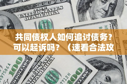北京共同债权人如何追讨债务？可以起诉吗？（速看合法攻略）