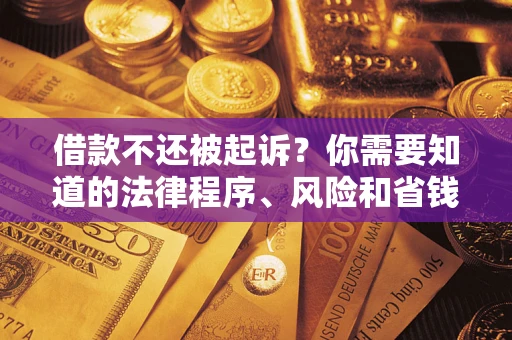 北京借款不还被起诉？你需要知道的法律程序、风险和省钱技巧
