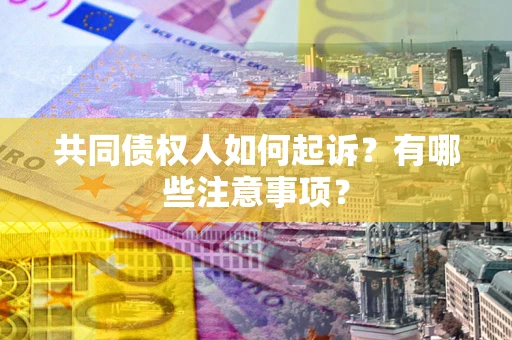 北京共同债权人如何起诉？有哪些注意事项？